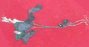 υ
